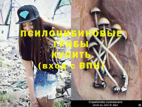 ешки Абинск