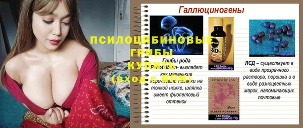 ешки Абинск