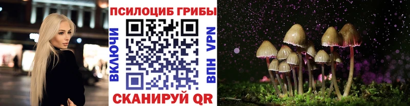 купить  цена  Кудымкар  kraken маркетплейс  Галлюциногенные грибы мухоморы 