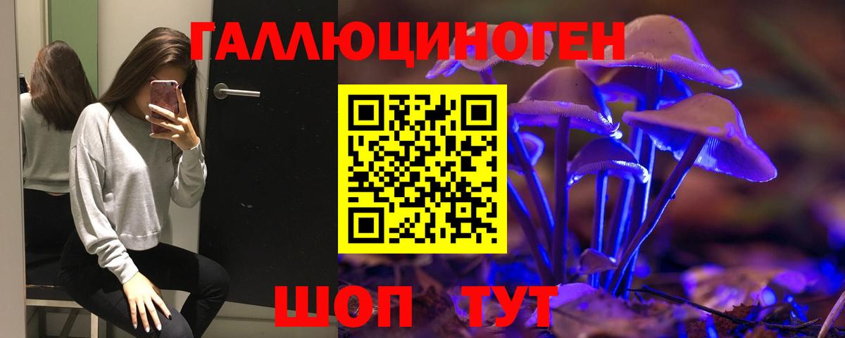 Псилоцибиновые грибы Cubensis Кудымкар